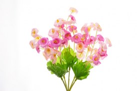 Ramo florcitas x5x12 (3)